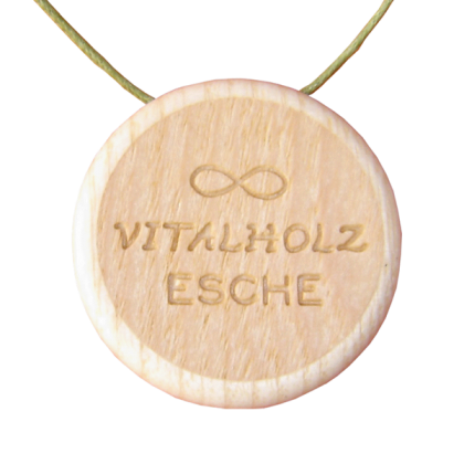 Amulett Same des Lebens Symbol Esche Hinten